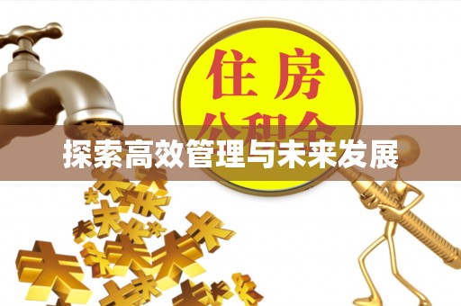 黑龙江探索高效管理与未来发展