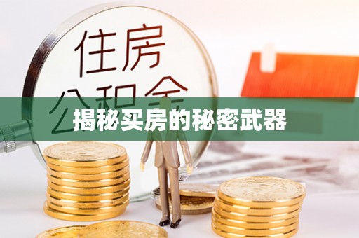 黑龙江揭秘买房的秘密武器