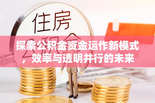黑龙江探索公积金资金运作新模式，效率与透明并行的未来