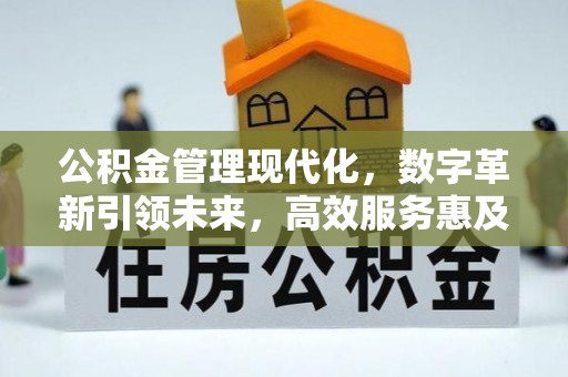 黑龙江公积金管理现代化，数字革新引领未来，高效服务惠及民生
