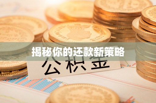 黑龙江揭秘你的还款新策略