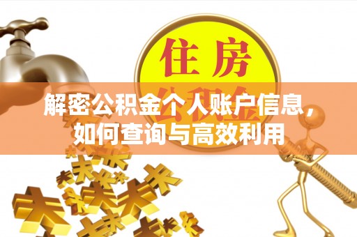 黑龙江解密公积金个人账户信息，如何查询与高效利用