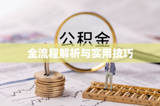 黑龙江全流程解析与实用技巧
