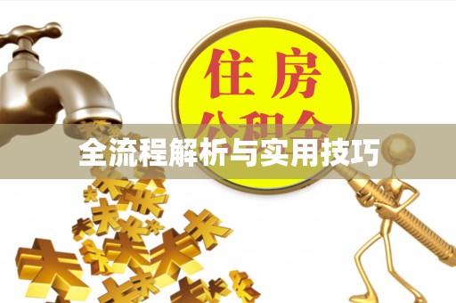 黑龙江全流程解析与实用技巧