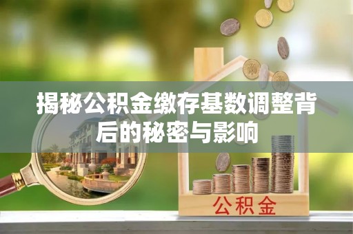黑龙江揭秘公积金缴存基数调整背后的秘密与影响