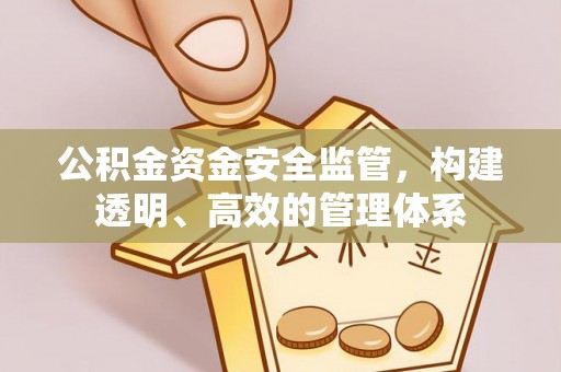 黑龙江公积金资金安全监管，构建透明、高效的管理体系