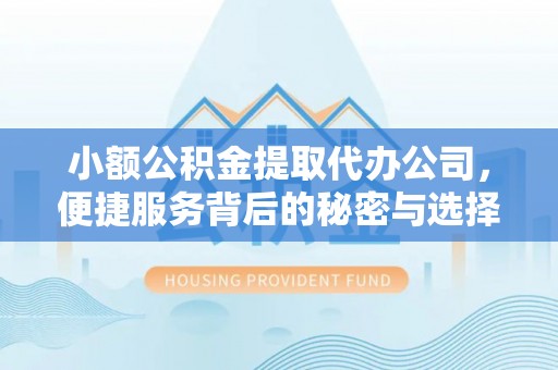 黑龙江小额公积金提取代办公司，便捷服务背后的秘密与选择指南