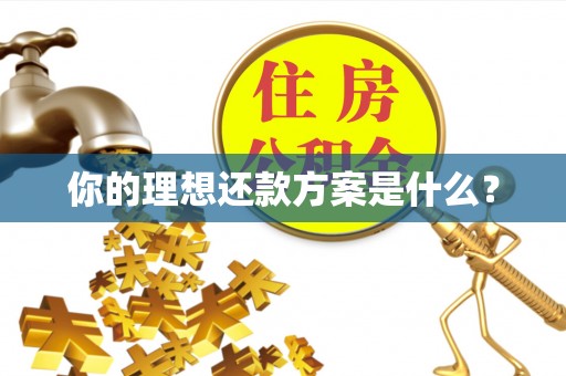 黑龙江你的理想还款方案是什么？