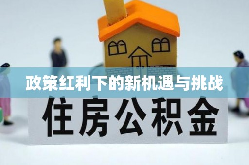 黑龙江政策红利下的新机遇与挑战
