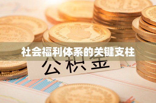 黑龙江社会福利体系的关键支柱