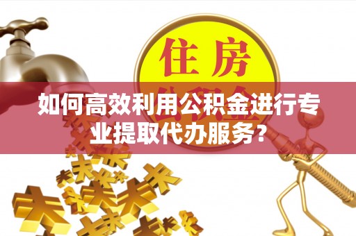 黑龙江如何高效利用公积金进行专业提取代办服务？