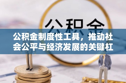 黑龙江公积金制度性工具，推动社会公平与经济发展的关键杠杆